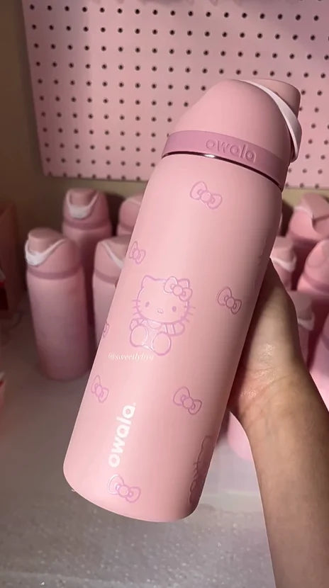 Owala Stainless Steel Bottle